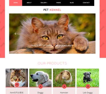 紅色背景寵物世界html5網(wǎng)頁(yè)模板